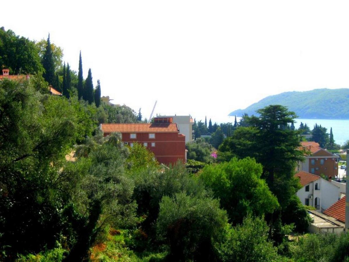 Villa Seka Budva Eksteriør billede